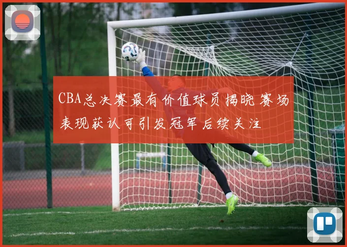 CBA总决赛最有价值球员揭晓 赛场表现获认可引发冠军后续关注